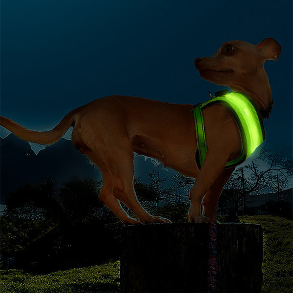 Arnés LED Iluminado para Perros con Carga USB