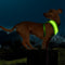 Arnés LED Iluminado para Perros con Carga USB