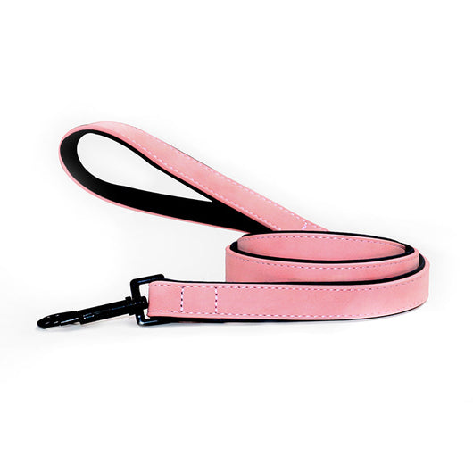 Correa de Cuero Resistente para Perros - Antihalón Premium - Image 6