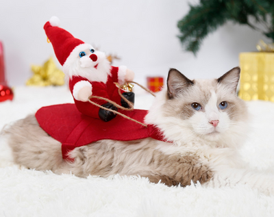 Disfraz Navideño para Perros - Papá Noel en Trineo - Image 11