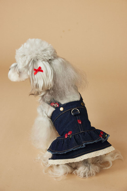 Vestido Denim de Cereza para Perras - Ropa de Primavera y Verano - Image 9
