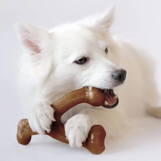 Mordedor Dental Duradero para Perros - Image 10