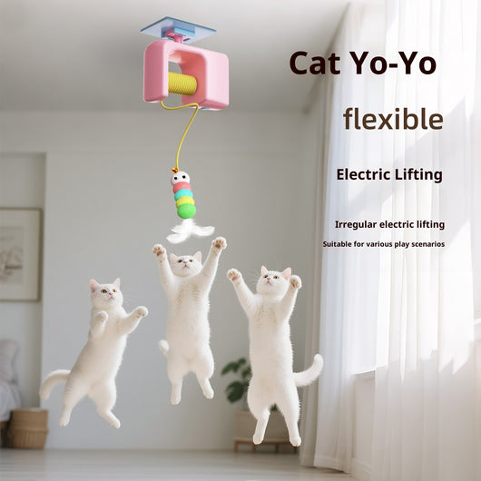 Electric pet cat toy with a blue hanging mechanism, yellow yo-yo string, and a colorful feathered lure.
