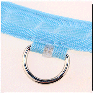 Collar Luminoso para Perros Fashion - Seguridad y Estilo - Image 14