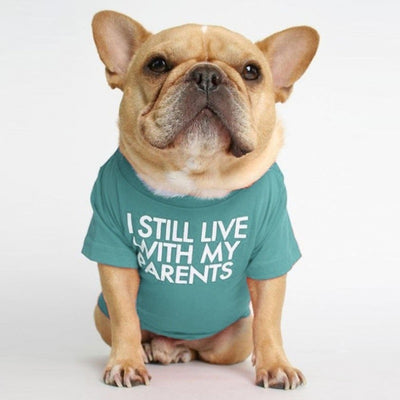 Polera Cuello Alto para Mascotas - Diseño Clásico y Cómodo - Image 10
