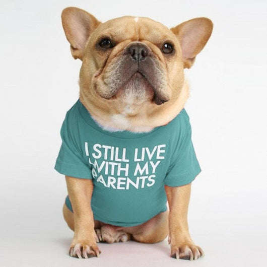 Polera Cuello Alto para Mascotas - Diseño Clásico y Cómodo - Image 10