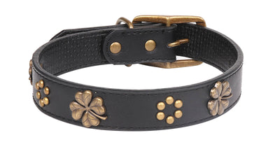 Collar para mascotas con hebilla de bronce vintage - Image 8