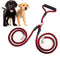 Correa Doble para Pasear Perros - Sistema 1+2 con Collar Integrado
