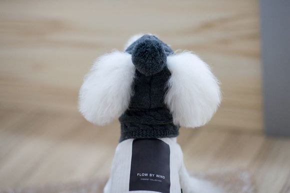 Conjunto de Abrigo para Perro: Gorro, Babero y Bufanda de Lana para Otoño e Invierno