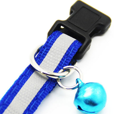 Collar Fluorescente para Perros - Image 3