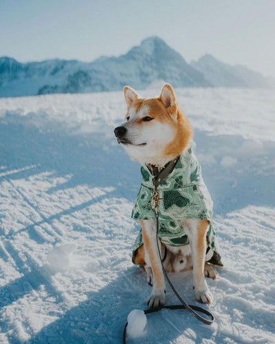 Abrigo Acolchado Impermeable para Perros Grandes - Protección Térmica Invierno - Image 27
