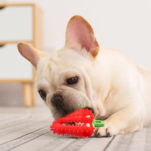 Juguete Interactivo para Dentición de Perros con Diseño de Chile - Image 20
