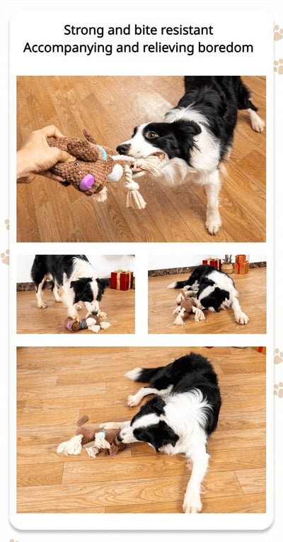 Juguete Interactivo para Perros con Sonidos y Cuerda de Algodón Resistente - Image 11