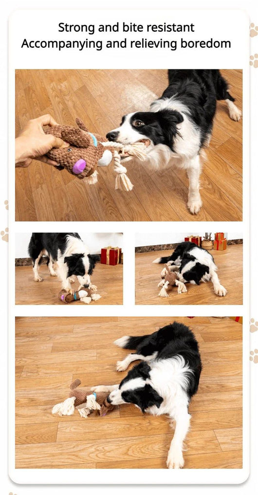 Juguete Interactivo para Perros con Sonidos y Cuerda de Algodón Resistente - Image 11