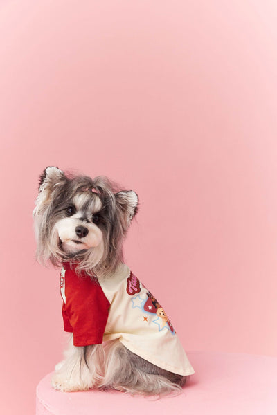 Ropa de Verano para Perros con Contraste de Colores - Image 19