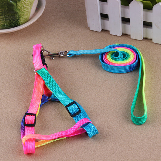 Correas Coloridas para Mascotas - Image 7