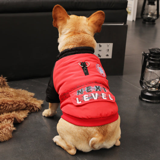 Ropa de abrigo para cachorros pequeños - Otoño e invierno - Image 11