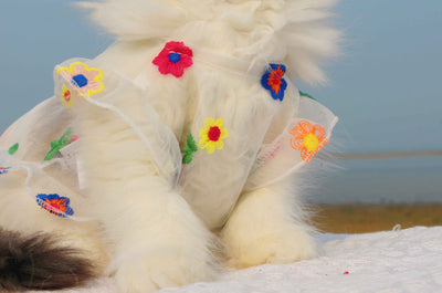 Vestido de Encaje con Bordado Floral para Gatos - Image 6