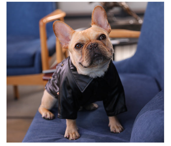 Ropa de Invierno Térmica para Perros - Abrigo Impermeable y Cálido