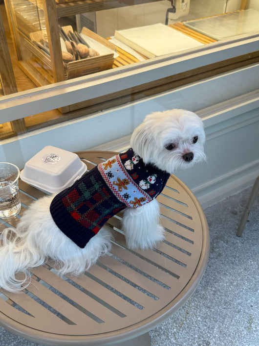 Suéter Navideño para Mascotas - Diseño Muñeco de Nieve y Jengibre - Image 20