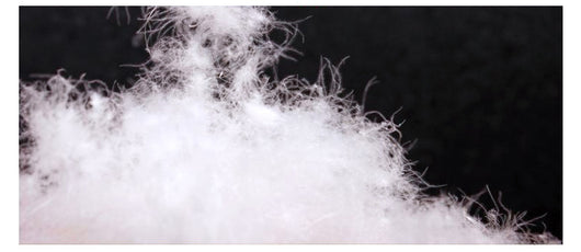 Chaqueta Acolchada Ligera Sin Cuello para Mujer - Abrigo Corto Versátil - Image 22
