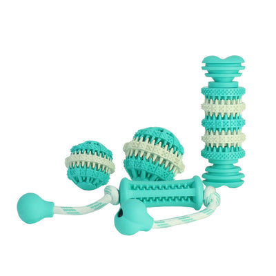 Two-tone teal and off-white dog molar toy with textured nubs and ridges, designed for chewing and dental health.