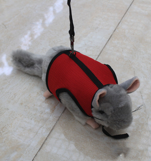 Correa de Seguridad para Mascotas Pequeñas - Image 8