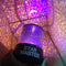 Proyector de Estrellas LED Multicolor - Luz Nocturna Creativa