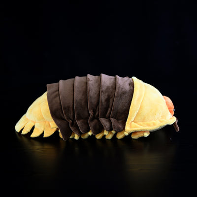 Peluche Adorable Bicho Bolita - Juguete Suave Isópodo Realista - Image 9