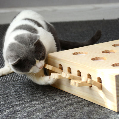 Árbol Rascador para Gatos con Diseño Seta Roja y Poste de Sisal - Image 11