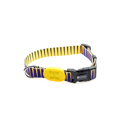 Collar de Perro Colorido - Image 9