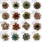 Broche de Aleación con Cristales de Fantasía Pequeño