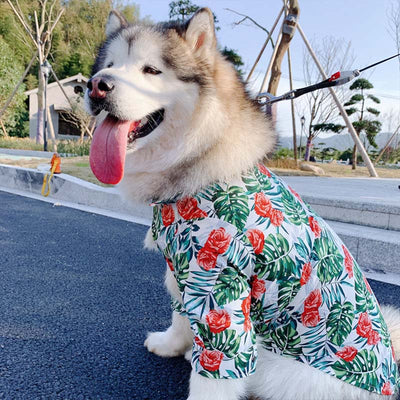 Playera Estampada para Mascotas - Image 5