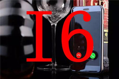 Funda Espejo con Respaldo de Cuero - Image 9