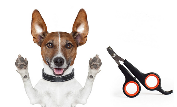 Cortador de Unhas Profissional para Cães com Tesouras de Precisão