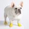 Botas Impermeables Protectoras para Perros Pequeños