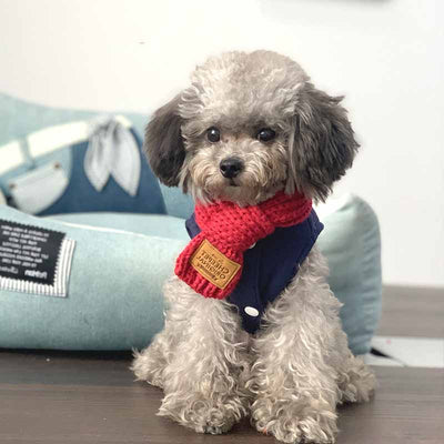 Pañuelo Bandana Térmico para Perros - Collar Cálido para Mascotas Pequeñas - Image 10