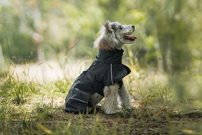 Poncho Impermeable Universal para Perros Pequeños y Medianos - Image 24