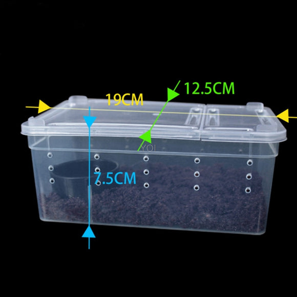 Caja de Alimentación Transparente para Reptiles
