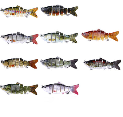 Peces Carnada Premium - Image 23