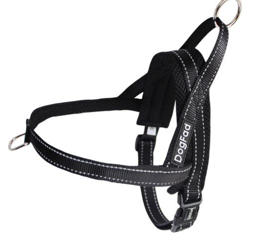 Arnés de Pecho para Perros - Image 11