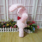 Peluche Conejo Mitsukuni del Departamento de Relaciones