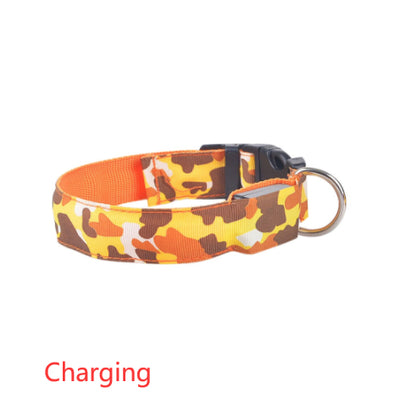 Collar Luminoso Camuflaje para Perros - Seguridad Nocturna - Image 19