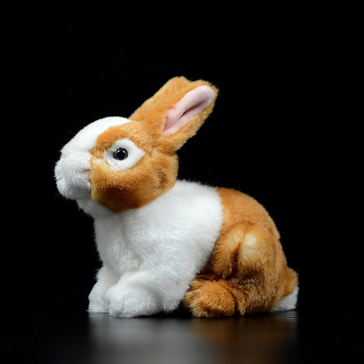Peluche Adorable Conejo Holandés