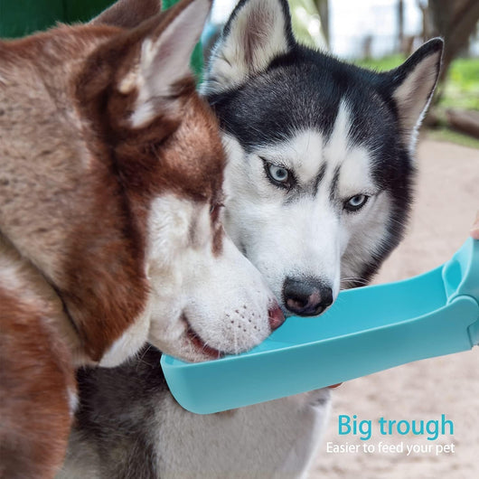 Botella Dispensadora de Agua Portátil para Perros - Todo Tamaño - Image 14