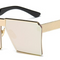 C19 Polarizer