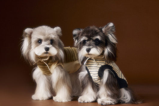 Suéter Tejido sin Mangas para Perros Pequeños Bichón Maltés York - Image 14