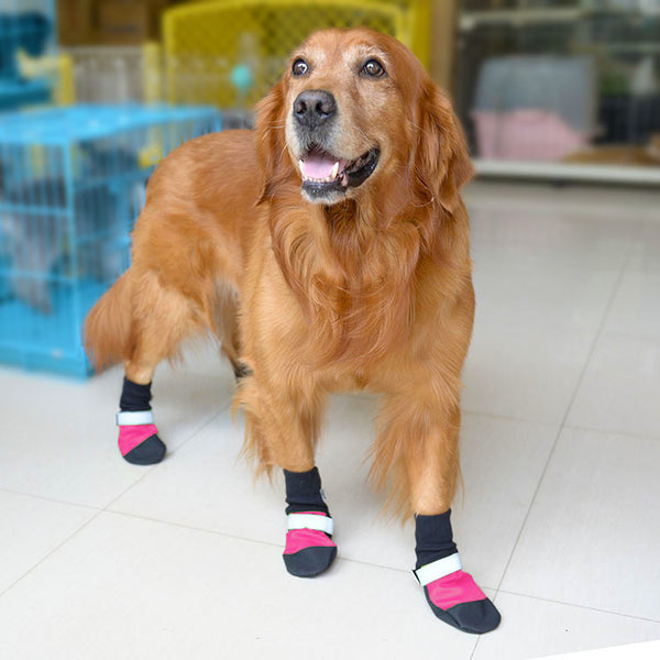 Zapatos Deportivos para Mascotas con Suela Ultrarresistente