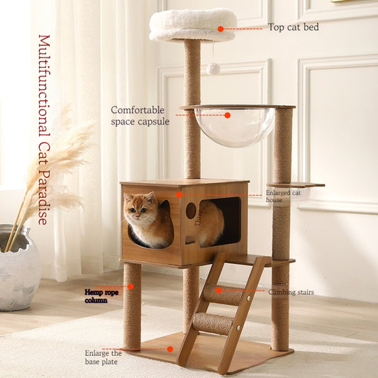 Multi-layer cat tree with a plush top bed, clear space capsule, wooden cat house, sisal scratching posts, and climbing stairs.