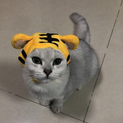 Gorro Divertido para Gatos - Accesorio Cálido y Adorable - Image 11